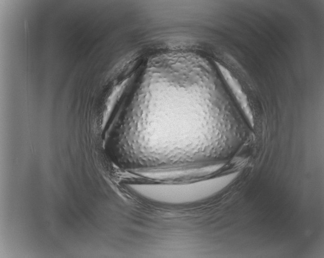 X0000080110405200612301949