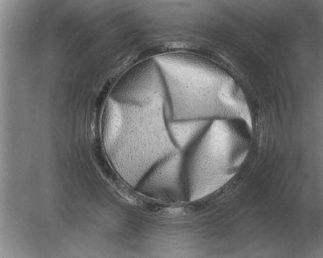 X0000080110406200612301949