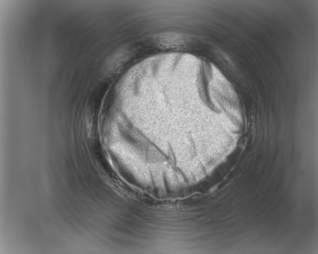 X0000080110408200612301949