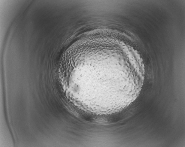 X0000080110409200612301949