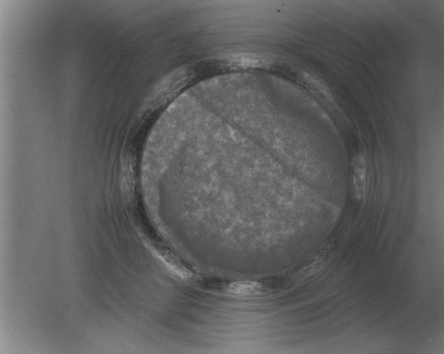 X0000080110410200612301949