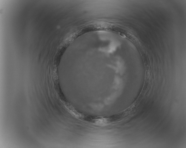 X0000080110411200612301949