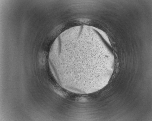 X0000080110412200612301949