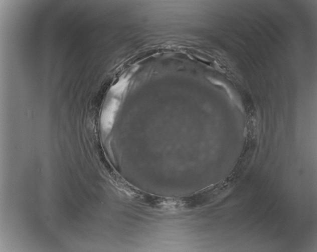 X0000080110415200612301949