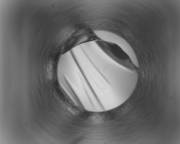 X0000080110416200612301949