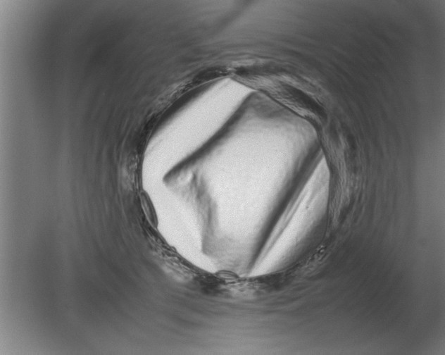 X0000080110417200612301949