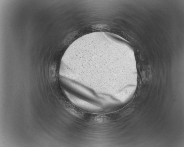 X0000080110420200612301949