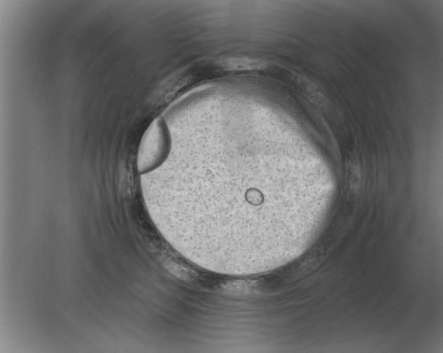 X0000080110422200612301949