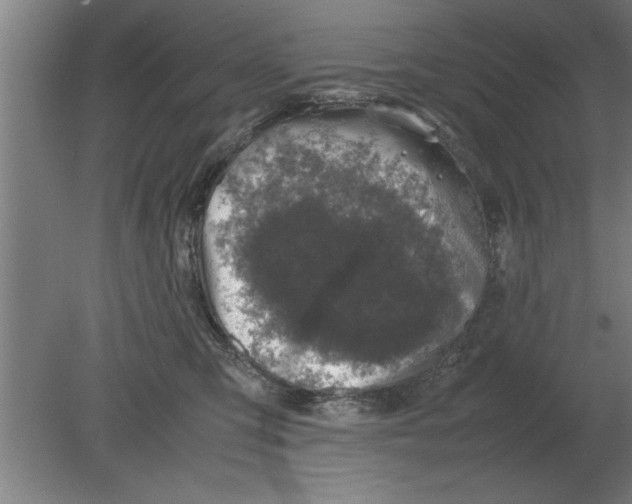 X0000080110423200612301949