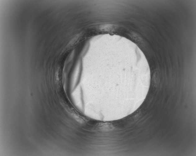 X0000080110424200612301948