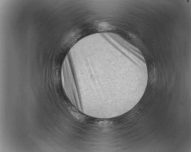 X0000080110426200612301948