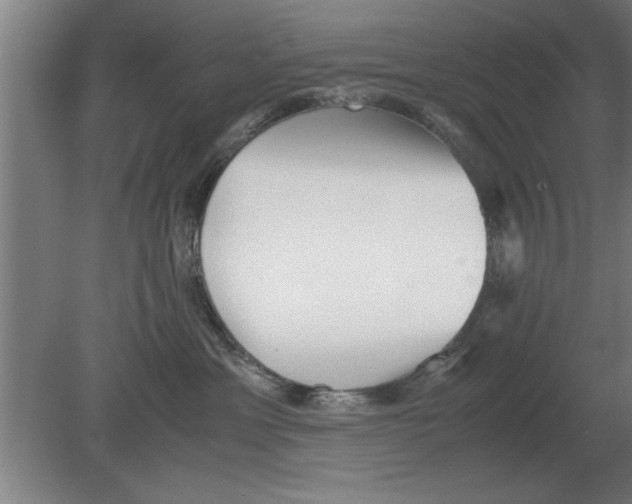 X0000080110429200612301948