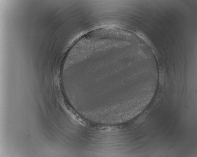 X0000080110434200612301948