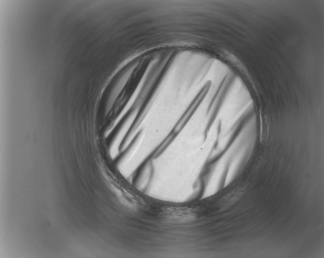 X0000080110435200612301948