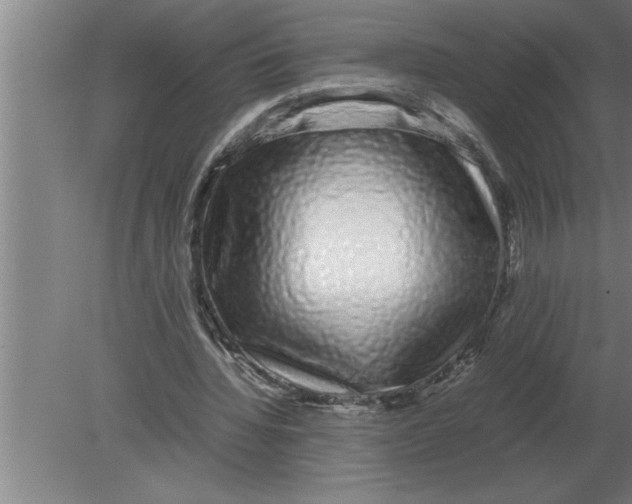 X0000080110436200612301948