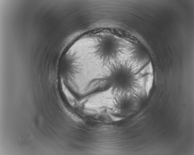 X0000080110438200612301948