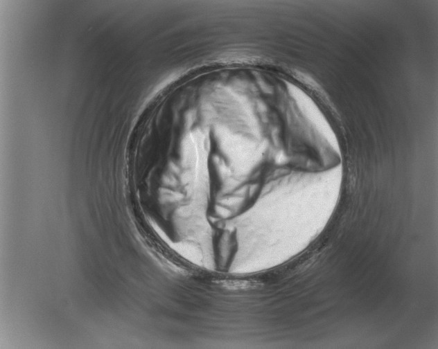 X0000080110439200612301948