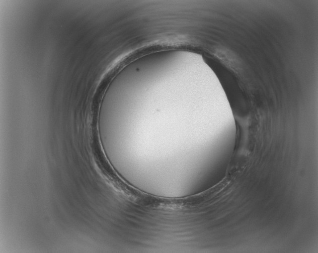 X0000080110440200612301948