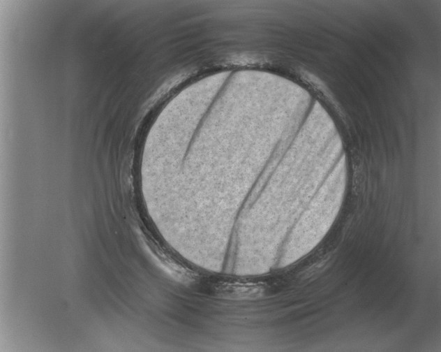 X0000080110443200612301948