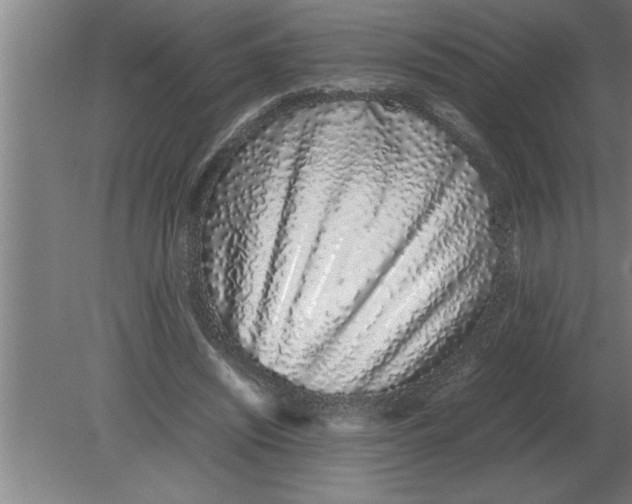 X0000080110444200612301948