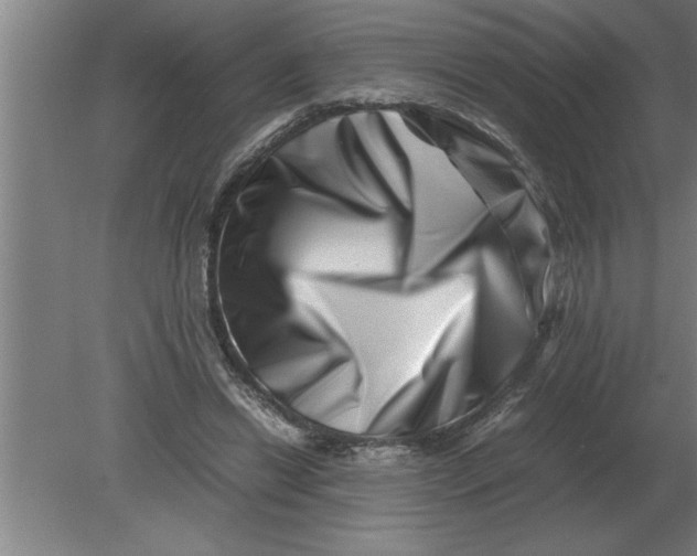 X0000080110446200612301948