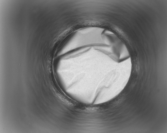 X0000080110450200612301948