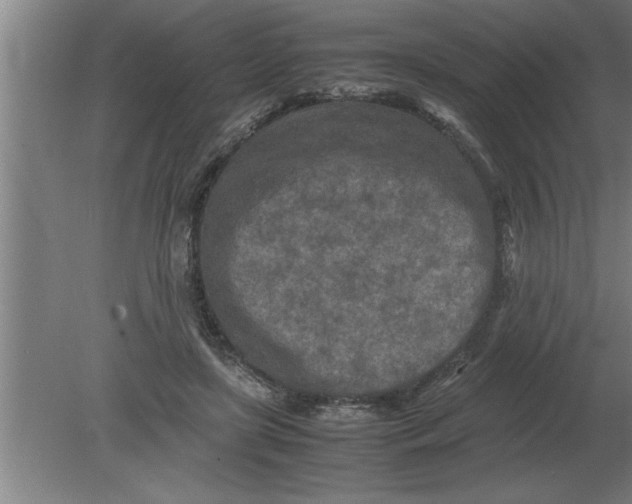 X0000080110451200612301948