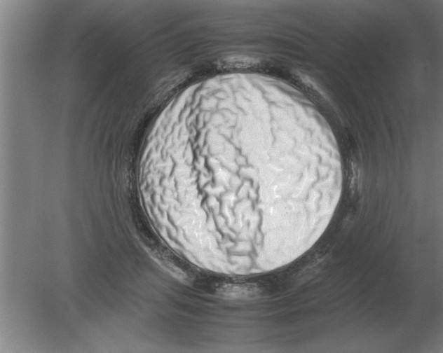 X0000080110455200612301948