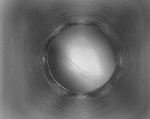 X0000080110456200612301948