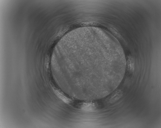 X0000080110458200612301948