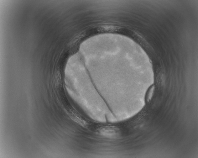 X0000080110459200612301948