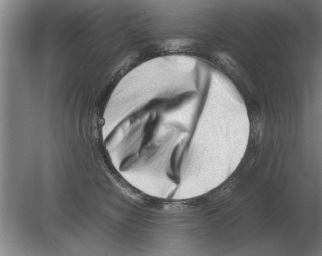 X0000080110470200612301948