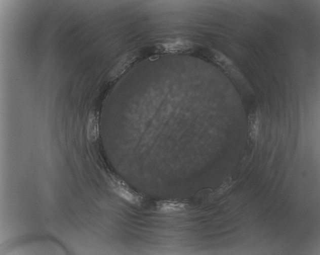 X0000080110471200612301948