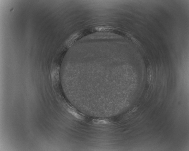 X0000080110475200612301948