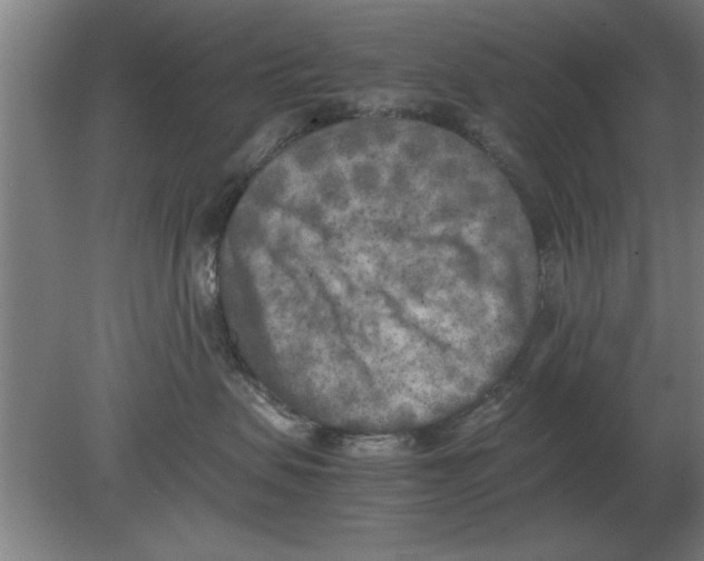 X0000080110479200612301948