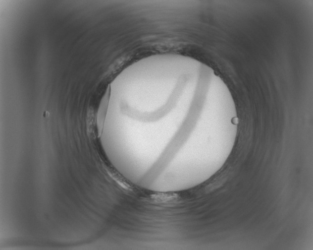 X0000080110480200612301948