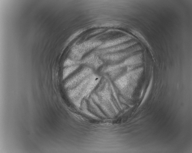 X0000080110483200612301947