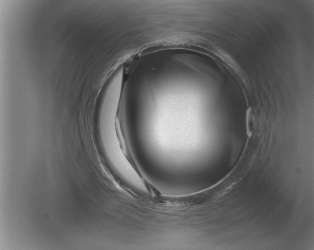 X0000080110485200612301947