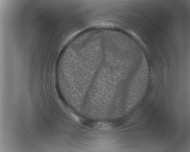 X0000080110487200612301947