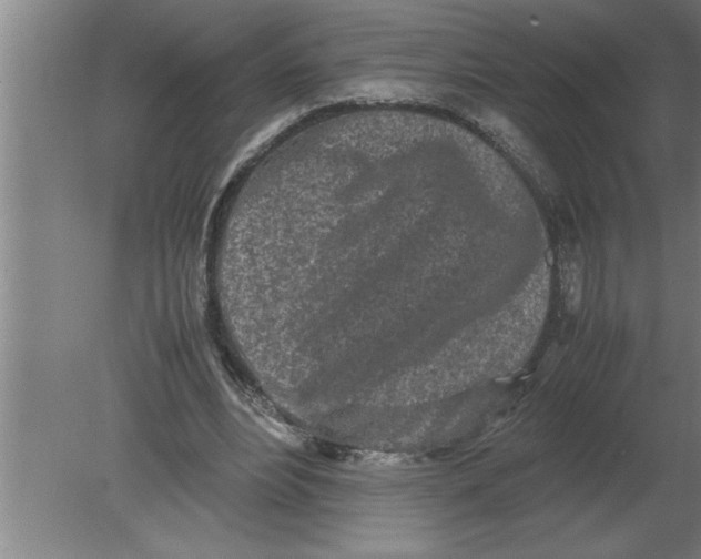 X0000080110488200612301947