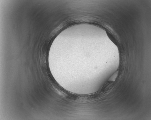 X0000080110489200612301947