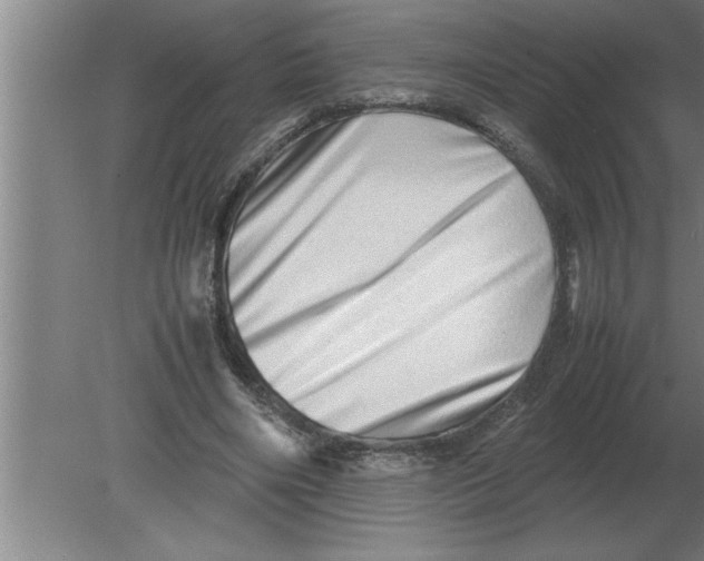 X0000080110490200612301947