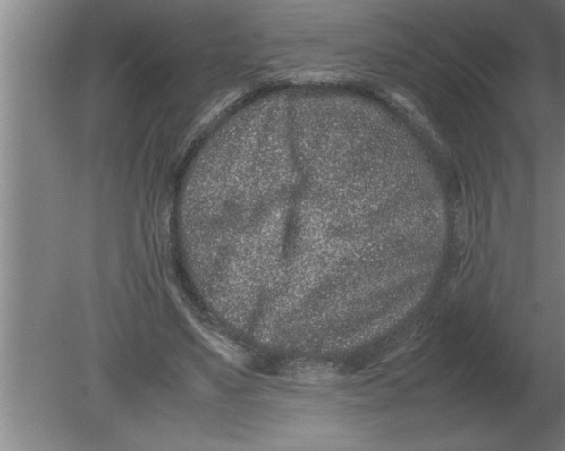 X0000080110491200612301947