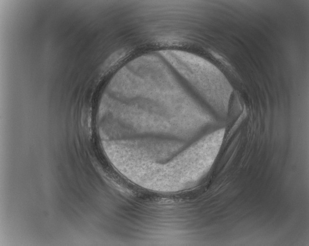 X0000080110494200612301947