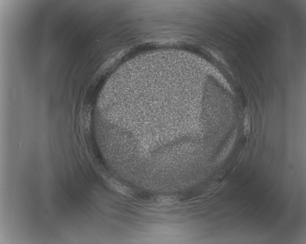 X0000080110495200612301947