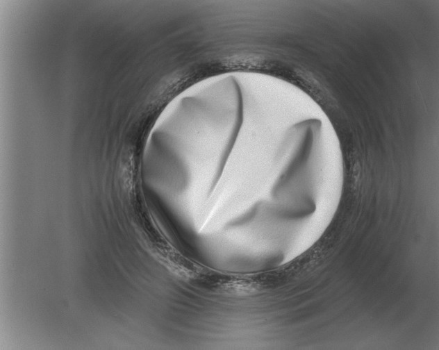 X0000080110498200612301947