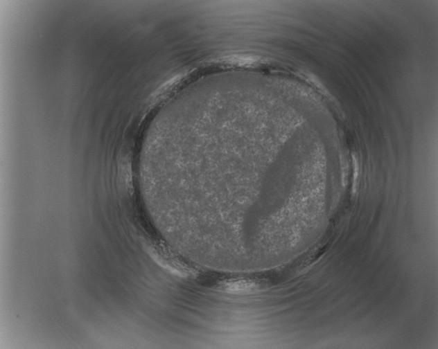 X0000080110500200612301947