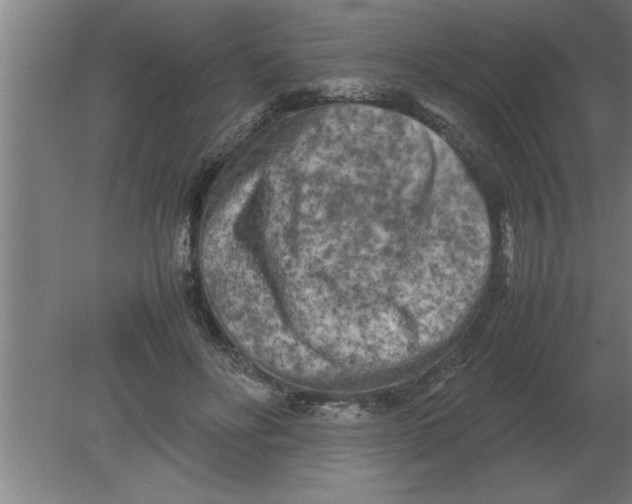 X0000080110502200612301947