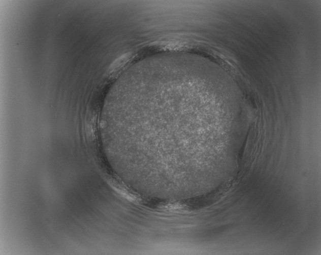 X0000080110503200612301947