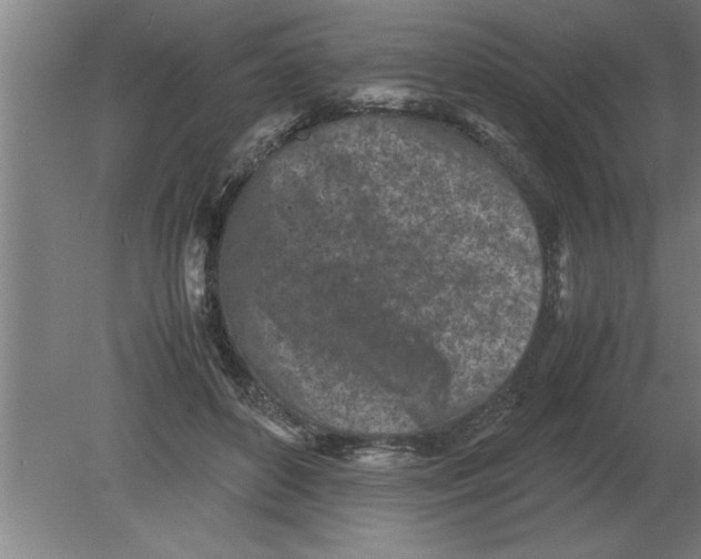 X0000080110504200612301947